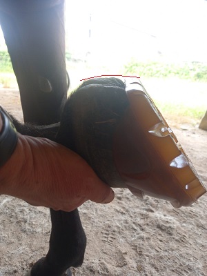 utiliser un kit vérification de taille hipposandale renegade