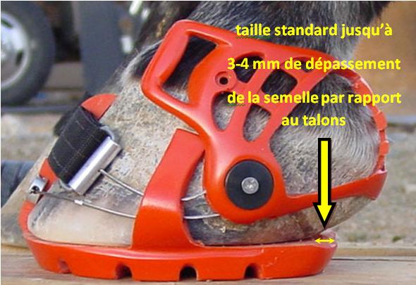 bonne taille hipposandale Renegade