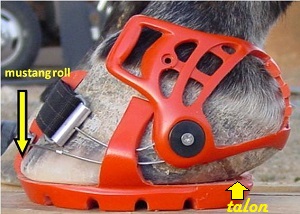 hipposandale Renegade mustang roll